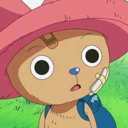 Chopper confused