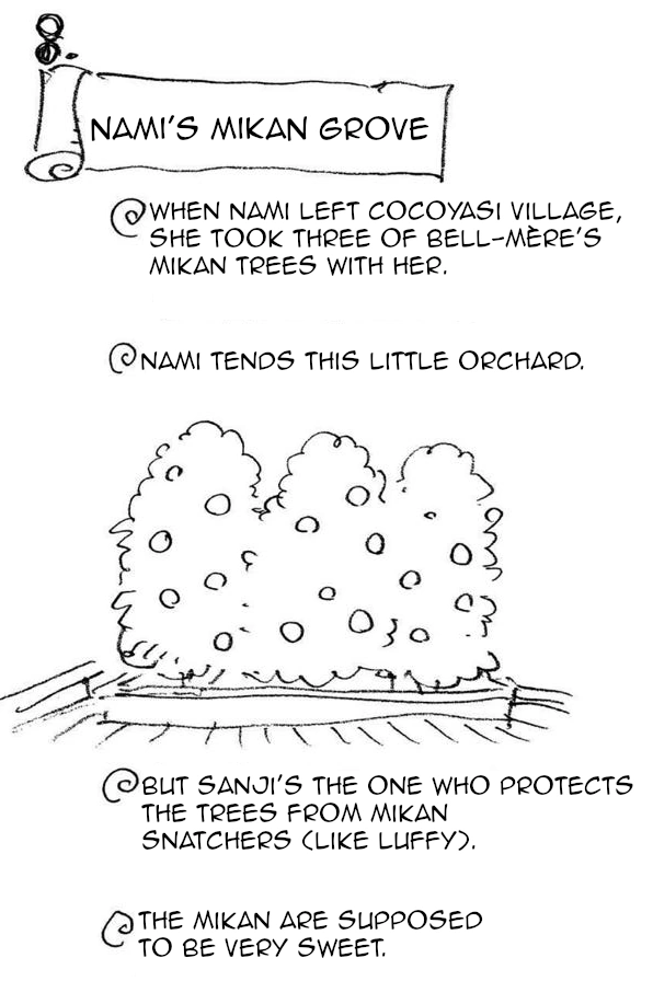 Nami's Mikan Grove